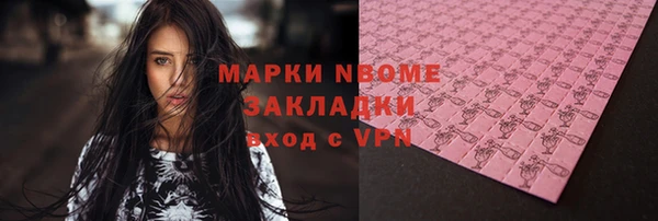 бошки Бронницы