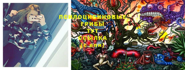 бошки Бронницы