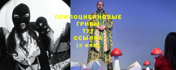 бошки Бронницы