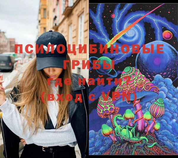 бошки Бронницы