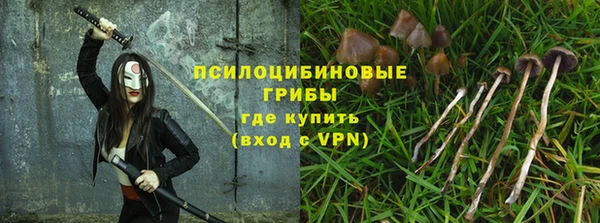 гашиш Бородино