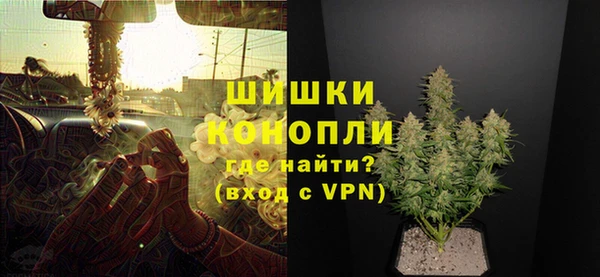 бошки Бронницы
