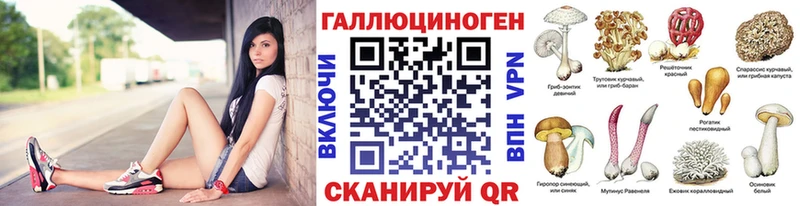 Псилоцибиновые грибы Psilocybe  где продают   Кущёвская 